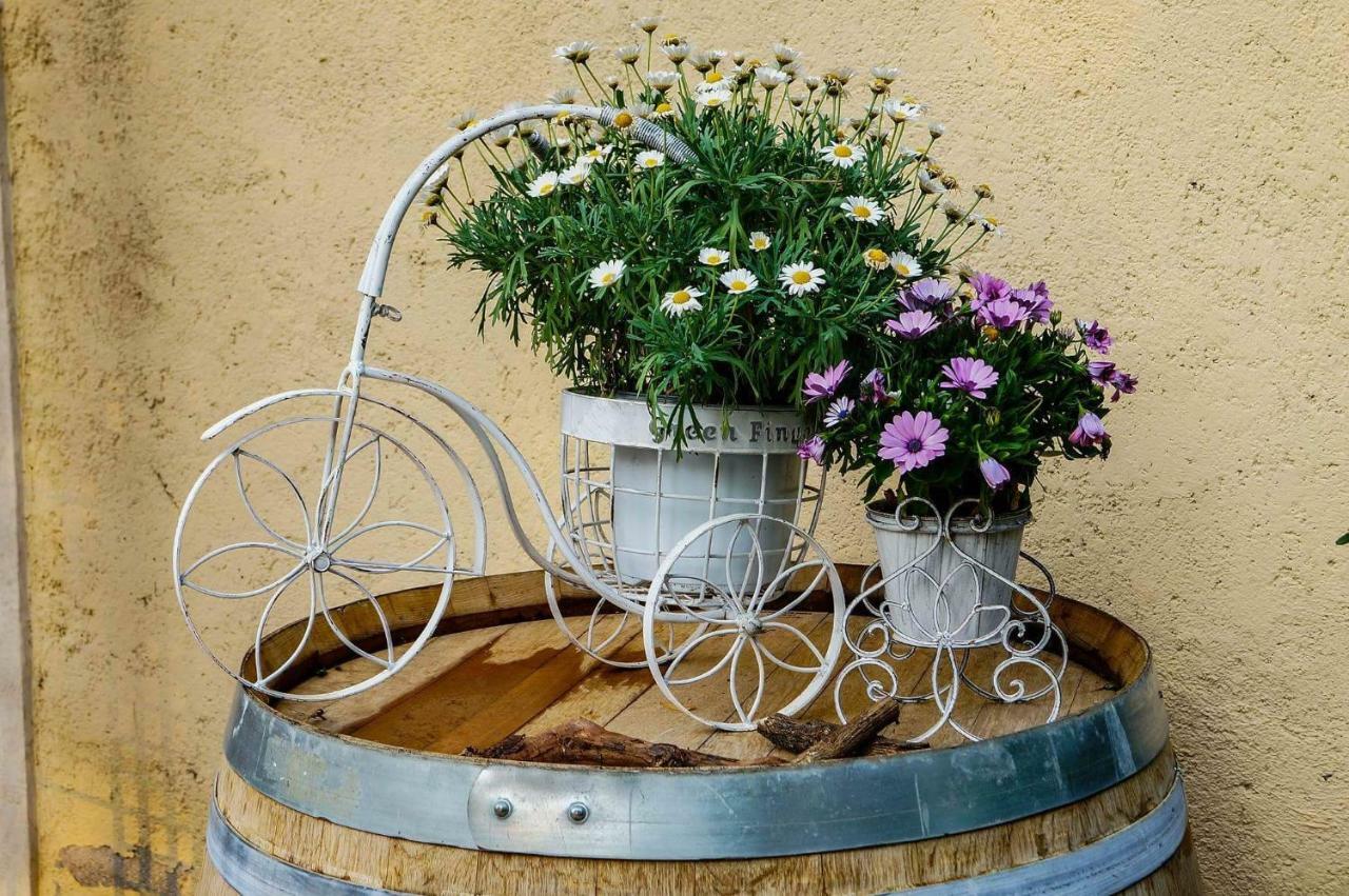 Bed and Breakfast Casale Del Sole Garda Monzambano Exteriér fotografie